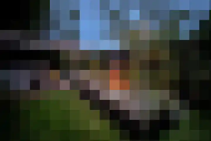 Hoofdstraat 37 Gasselternijveen thumbnail 49