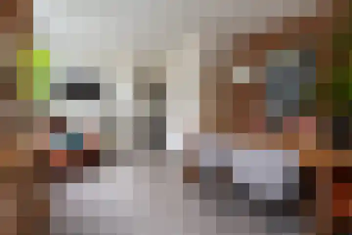 Hoofdstraat 37 Gasselternijveen thumbnail 9