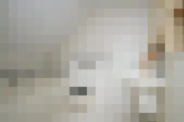 Hoofdstraat 37 Liessel thumbnail 16