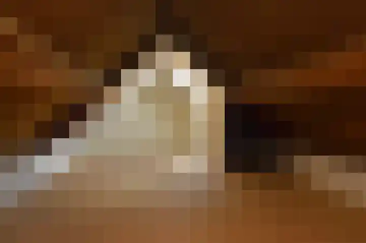 Hoofdstraat 37 Liessel thumbnail 24