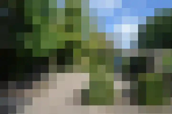Hoofdstraat 37 Liessel thumbnail 27