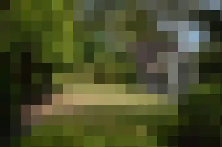 Hoofdstraat 37 Liessel thumbnail 28