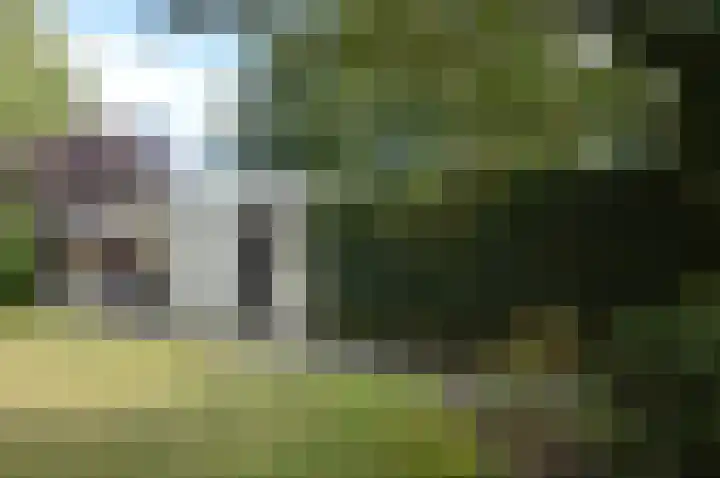 Hoofdstraat 37 Liessel thumbnail 29