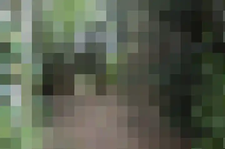 Hoofdstraat 37 Liessel thumbnail 30