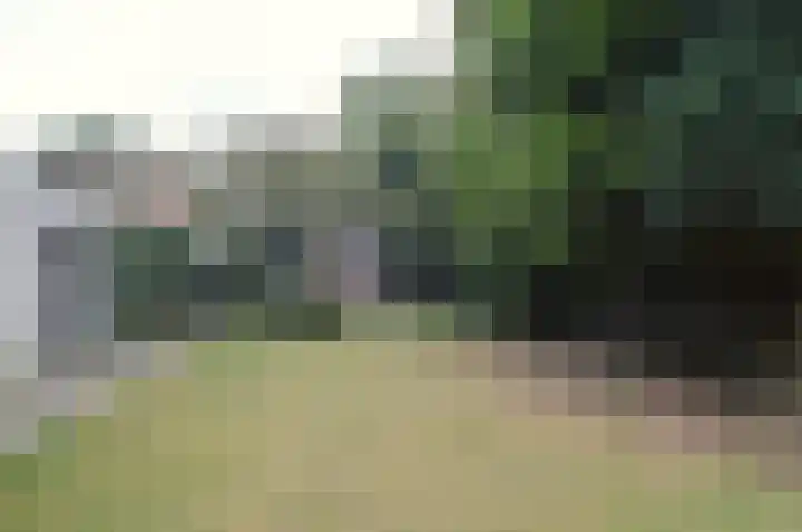 Hoofdstraat 37 Liessel thumbnail 31