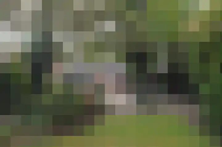 Hoofdstraat 37 Liessel thumbnail 32