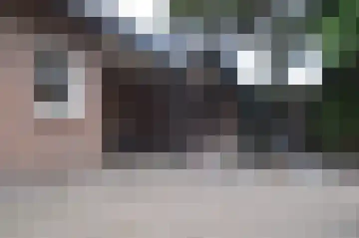 Hoofdstraat 37 Liessel thumbnail 34