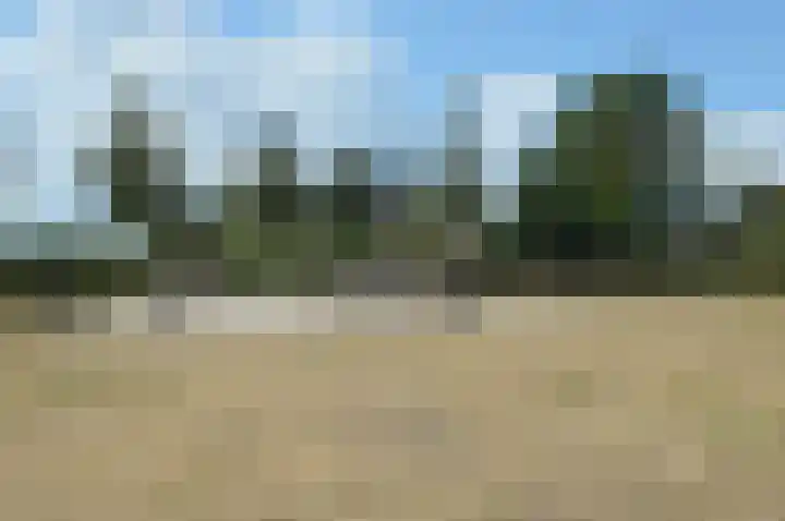 Hoofdstraat 37 Liessel thumbnail 40