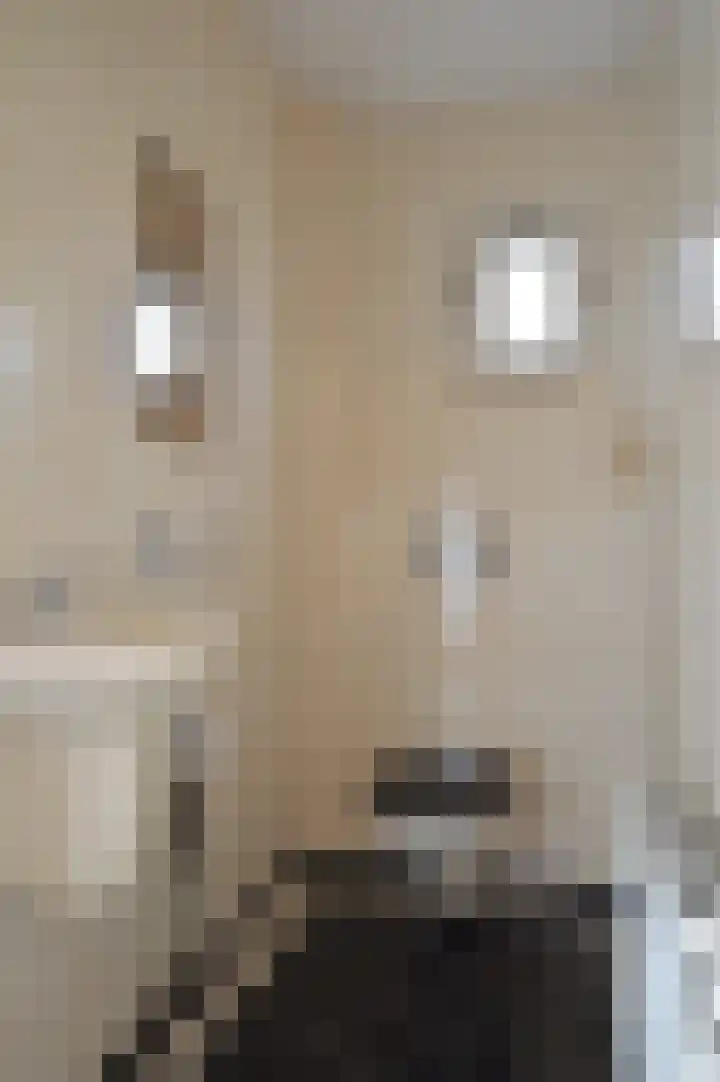 Hoofdstraat 37 Liessel thumbnail 9