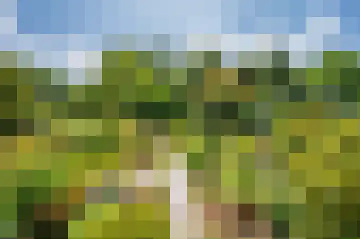 Hoofdstraat 37 Lottum thumbnail 32