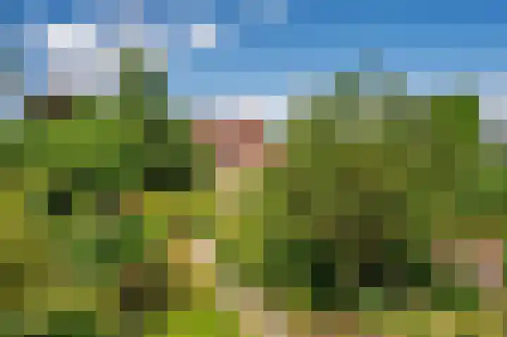 Hoofdstraat 37 Lottum thumbnail 35