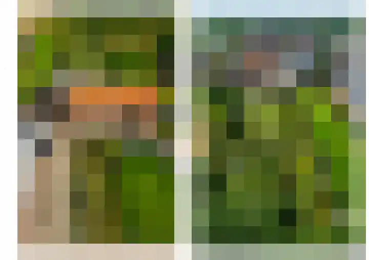 Hoofdstraat 37 Lottum thumbnail 46