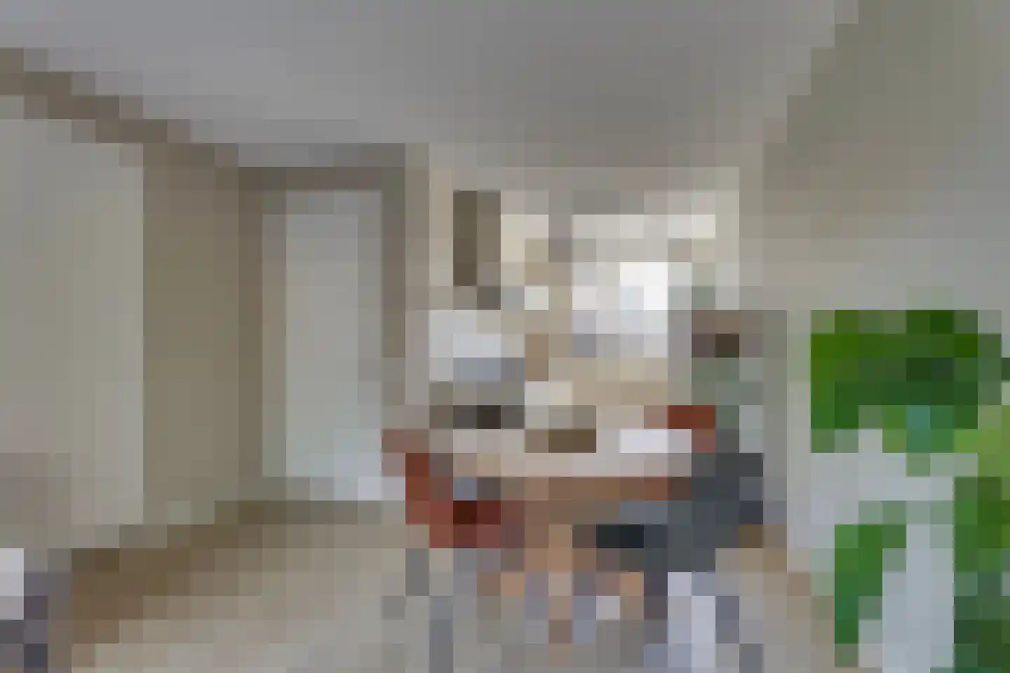 Hoofdstraat 38 A Deurningen thumbnail 10