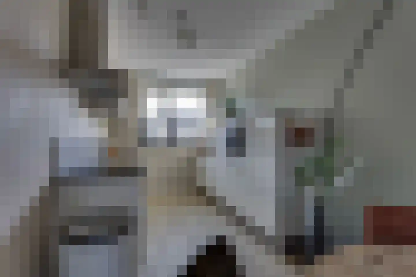 Hoofdstraat 38 A Deurningen thumbnail 25