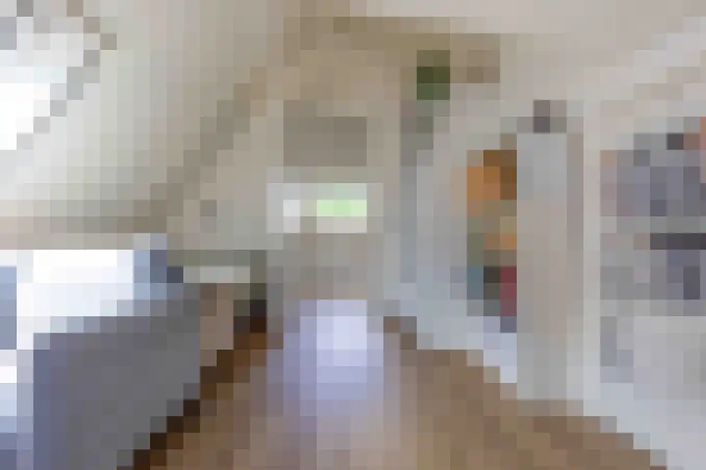 Hoofdstraat 38 A Deurningen thumbnail 25