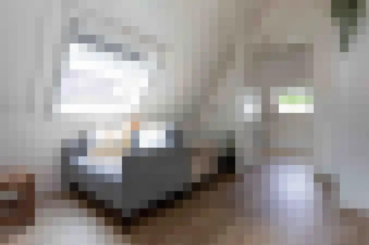 Hoofdstraat 38 A Deurningen thumbnail 26