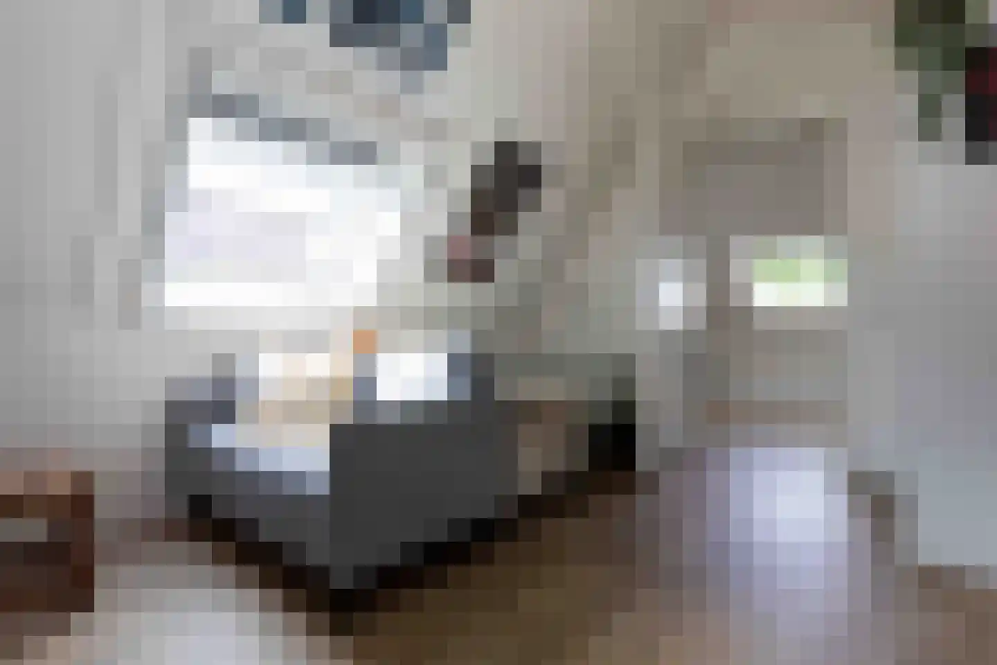 Hoofdstraat 38 A Deurningen thumbnail 29