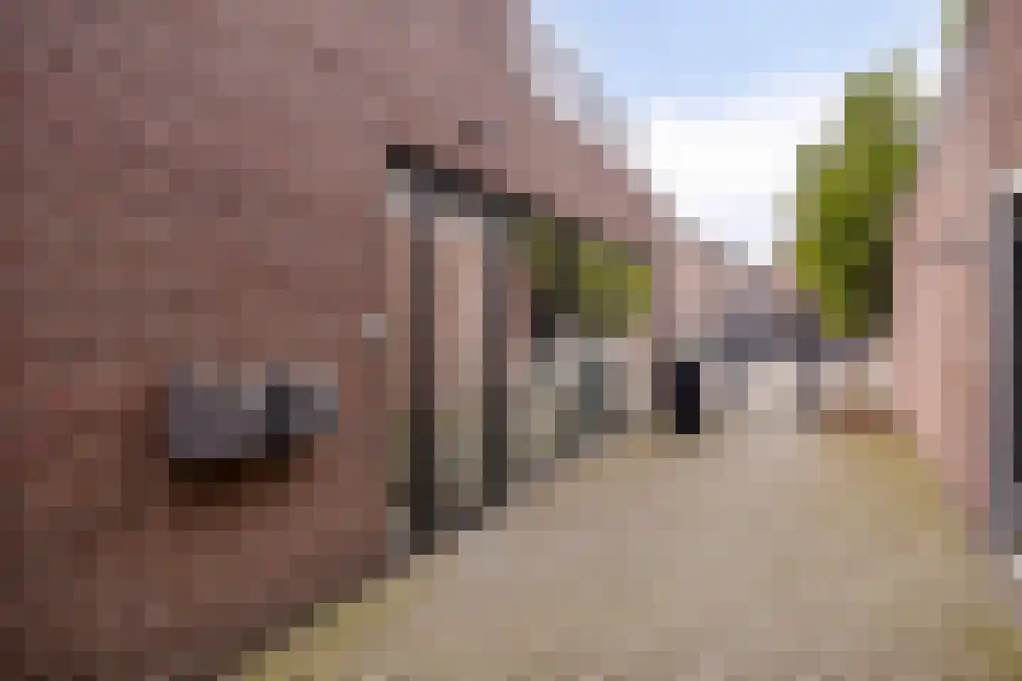 Hoofdstraat 38 B Kaatsheuvel thumbnail 6