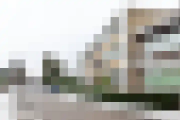 Hoofdstraat 38 Baarn thumbnail 25