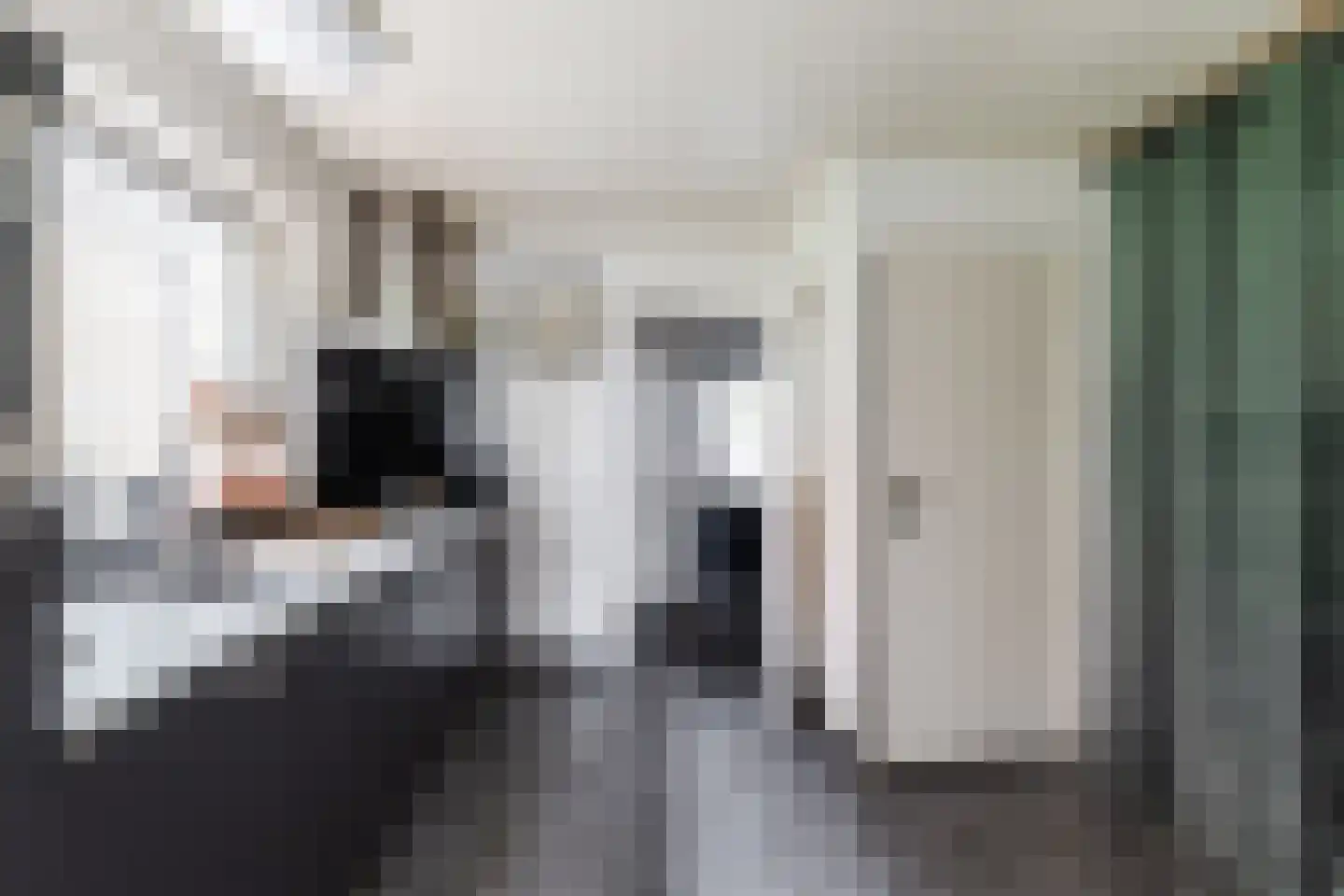 Hoofdstraat 38 's Gravenmoer thumbnail 10