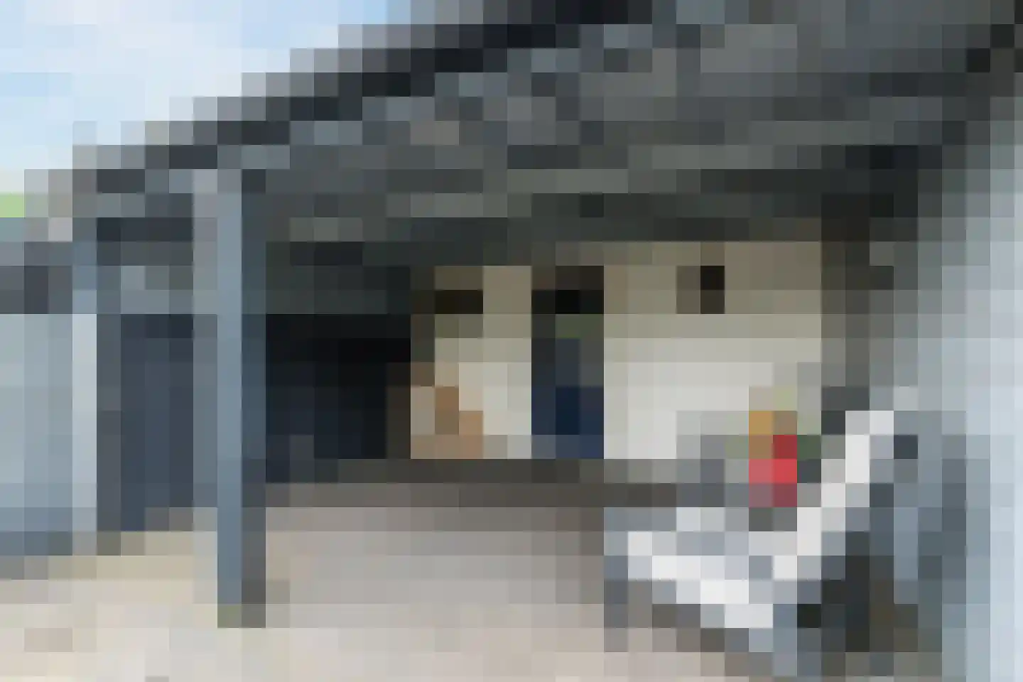 Hoofdstraat 38 's Gravenmoer thumbnail 18