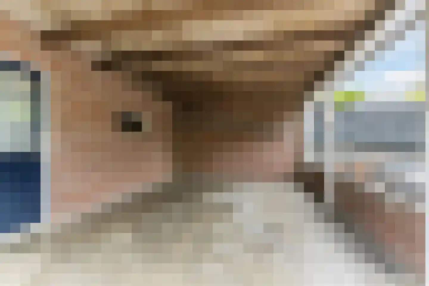 Hoofdstraat 38 's Gravenmoer thumbnail 21