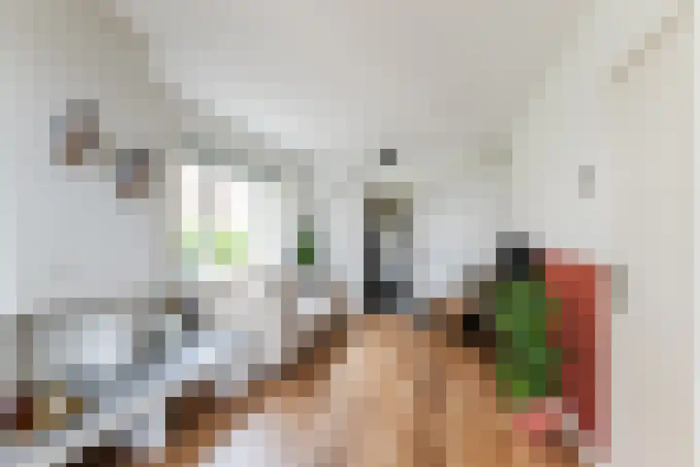 Hoofdstraat 38 's Gravenmoer thumbnail 4
