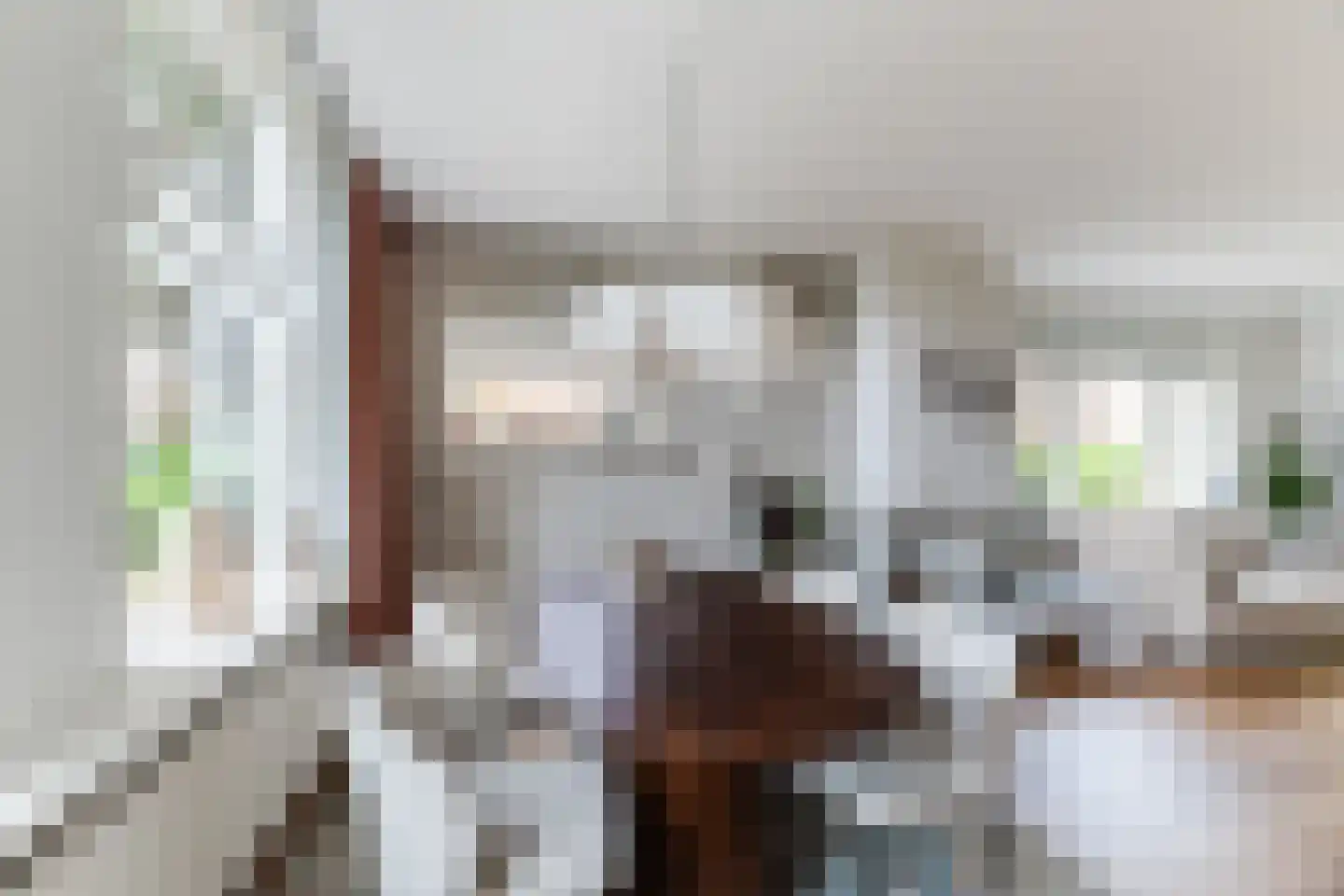 Hoofdstraat 38 's Gravenmoer thumbnail 6