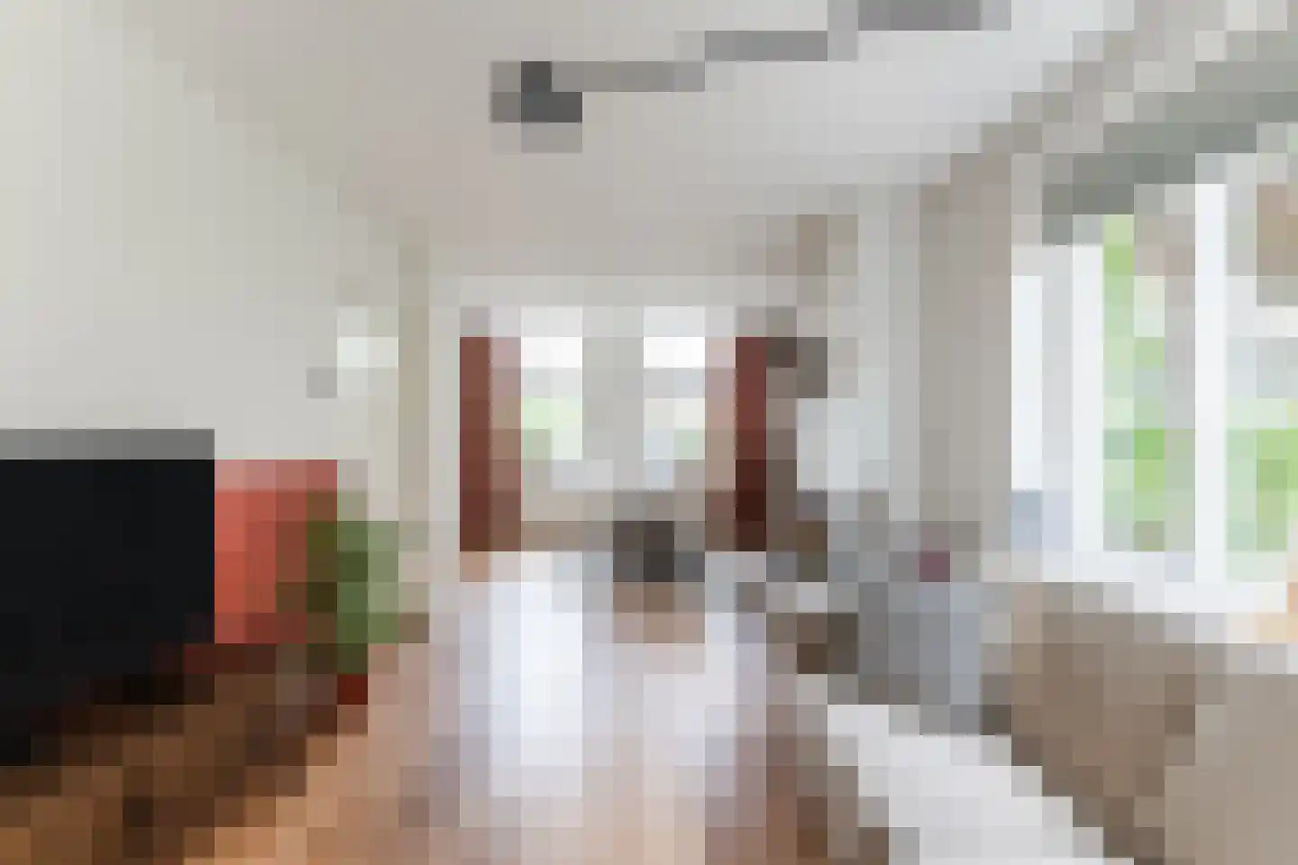 Hoofdstraat 38 's Gravenmoer thumbnail 9