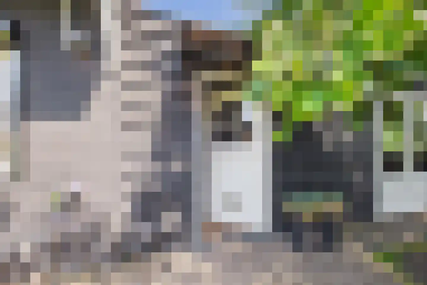 Hoofdstraat 38 Terneuzen thumbnail 6