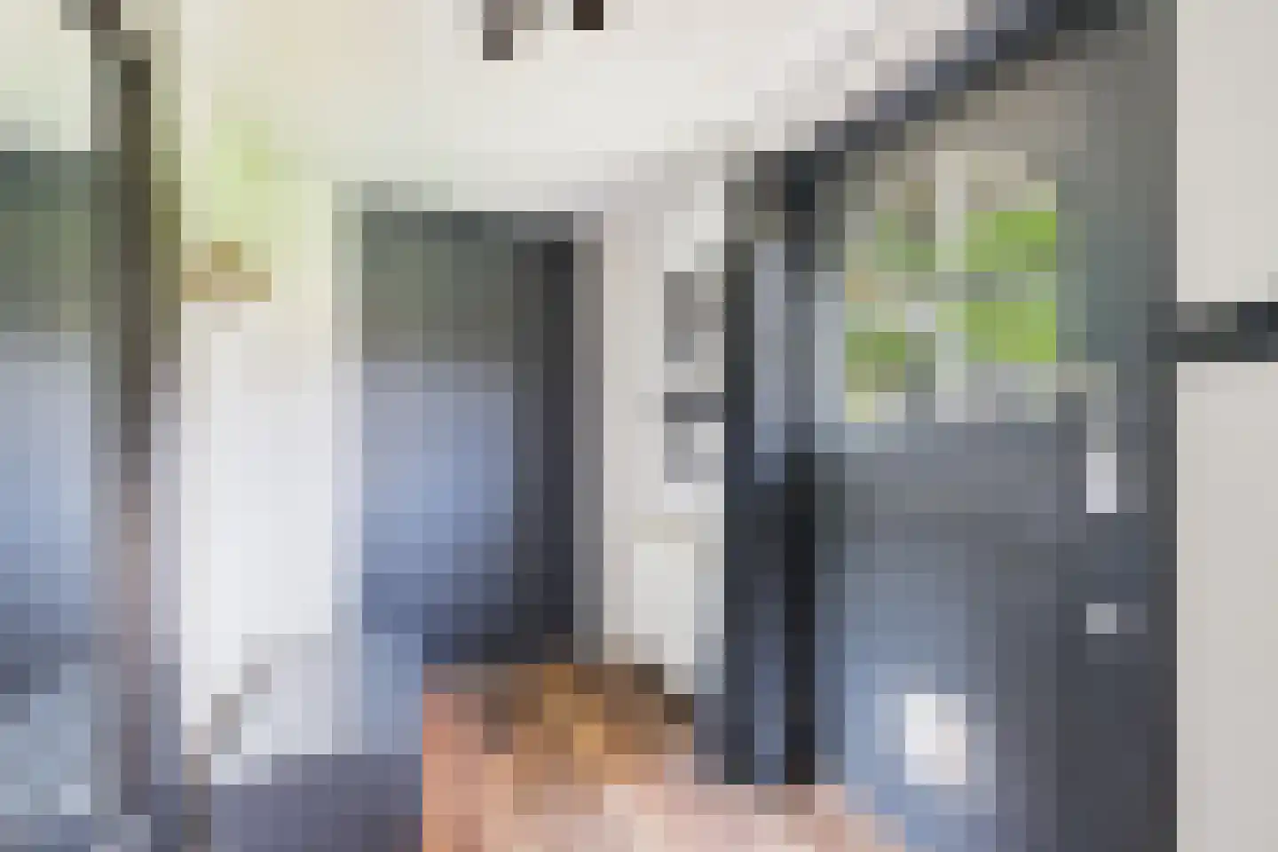 Hoofdstraat 38 Terneuzen thumbnail 8