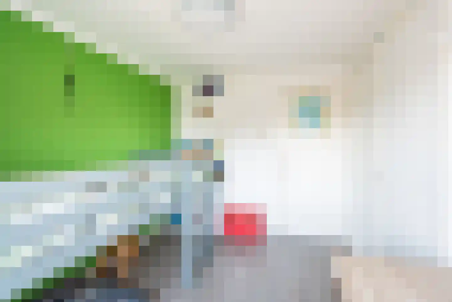 Hoofdstraat 38 Varsselder thumbnail 30