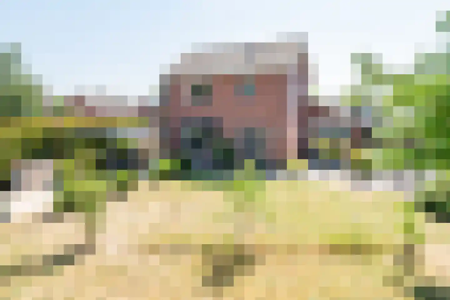 Hoofdstraat 38 Varsselder thumbnail 5