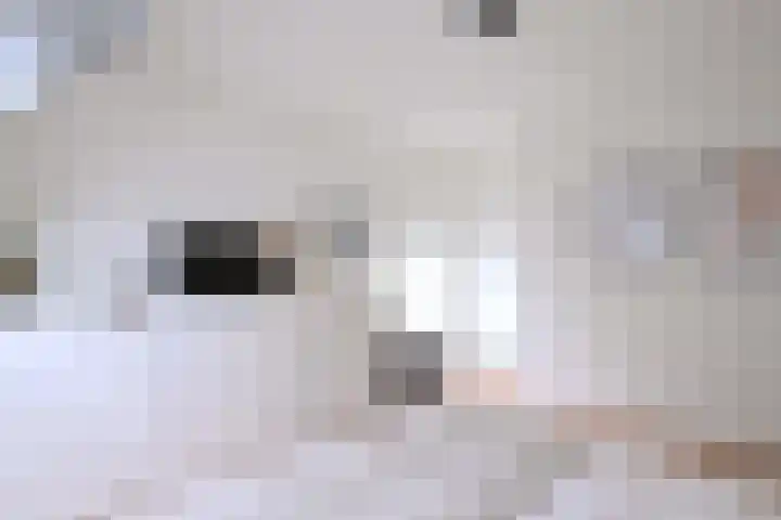 Hoofdstraat 39 c Gorssel thumbnail 18