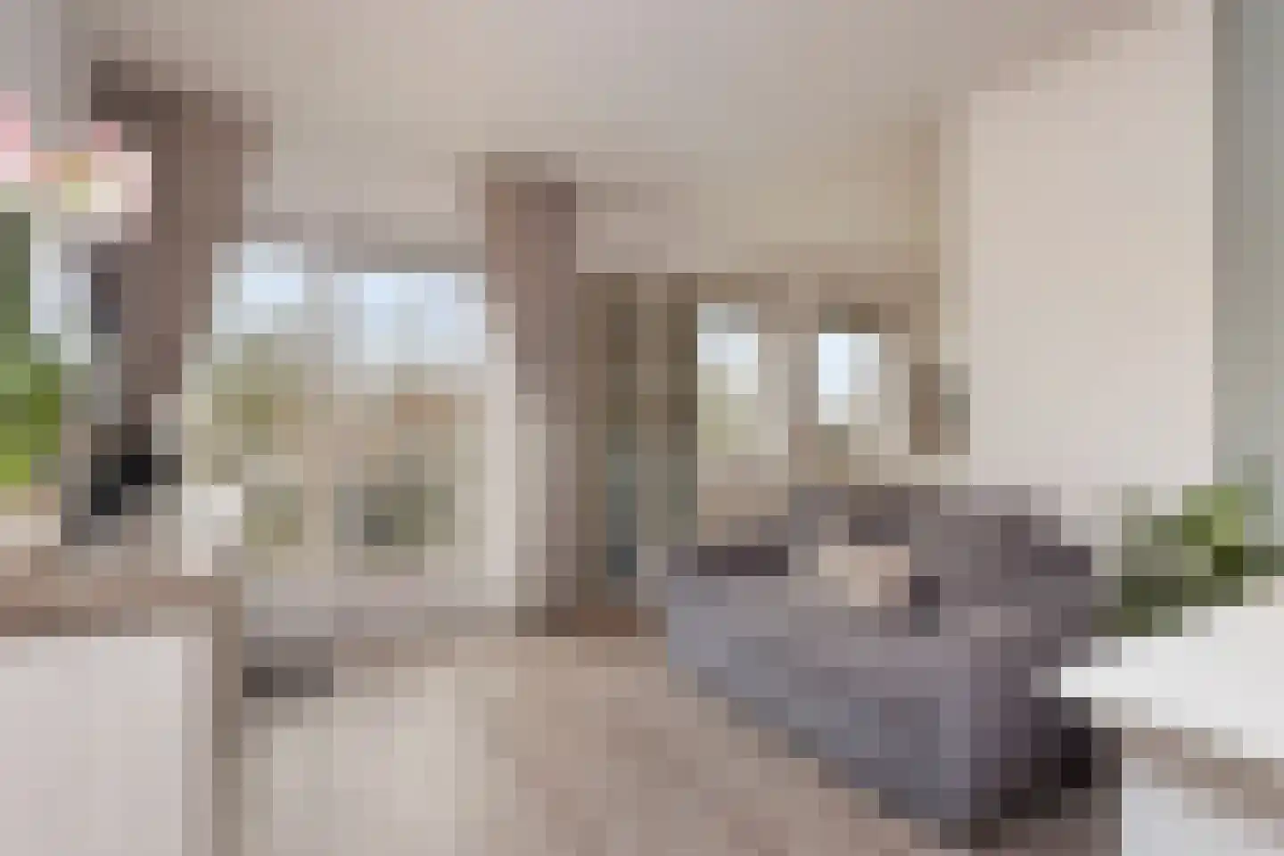 Hoofdstraat 39 i Kortgene thumbnail 11