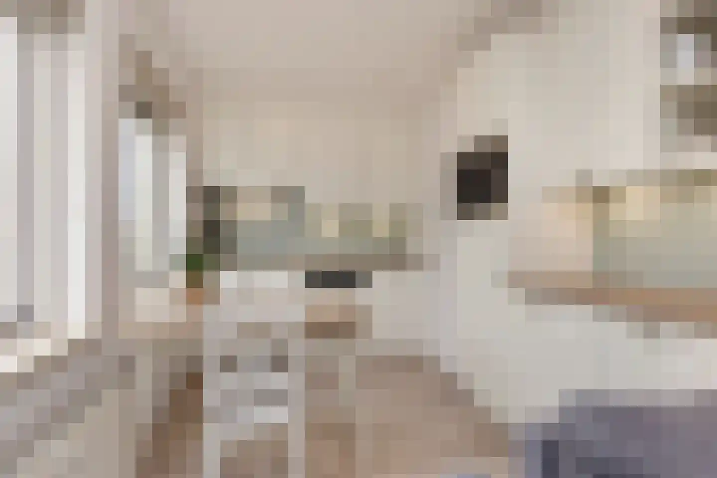 Hoofdstraat 39 i Kortgene thumbnail 14