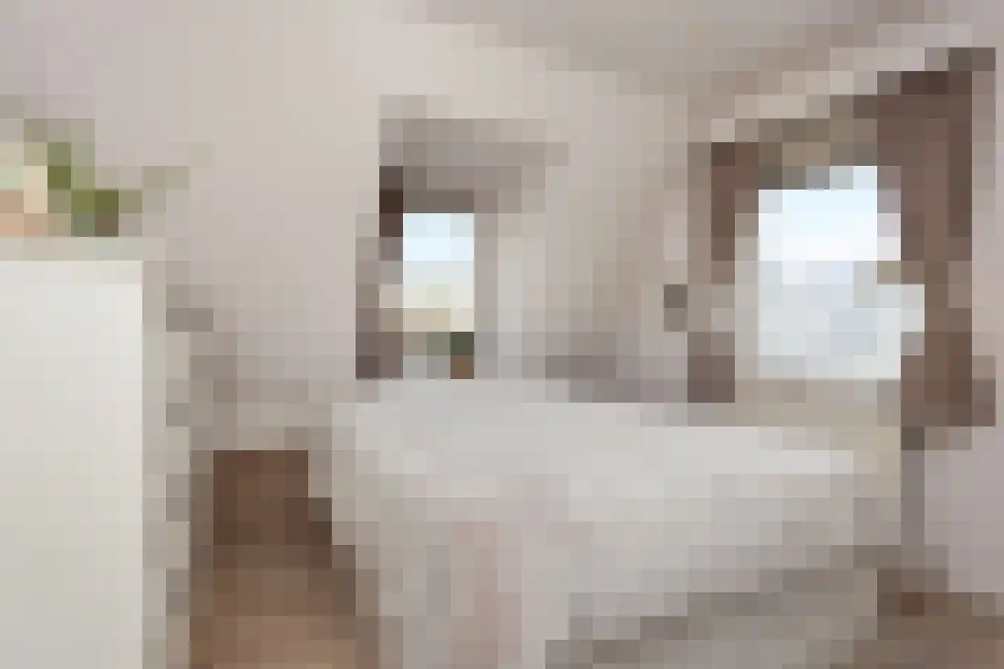 Hoofdstraat 39 i Kortgene thumbnail 22