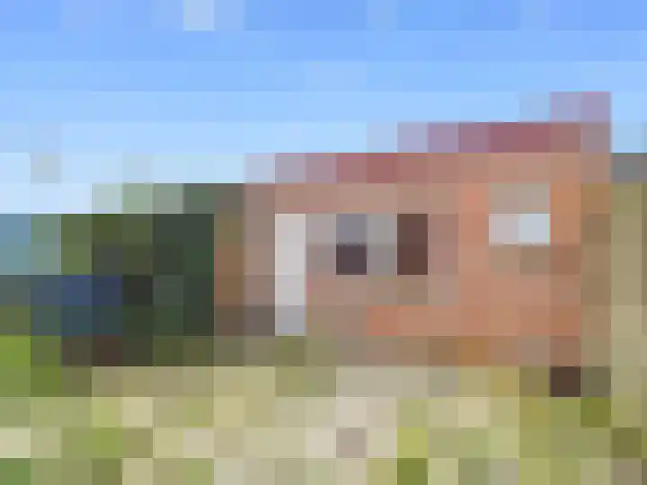 Hoofdstraat 39 Terneuzen thumbnail 29
