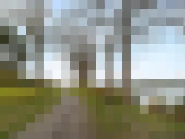 Hoofdstraat 39 Terneuzen thumbnail 36