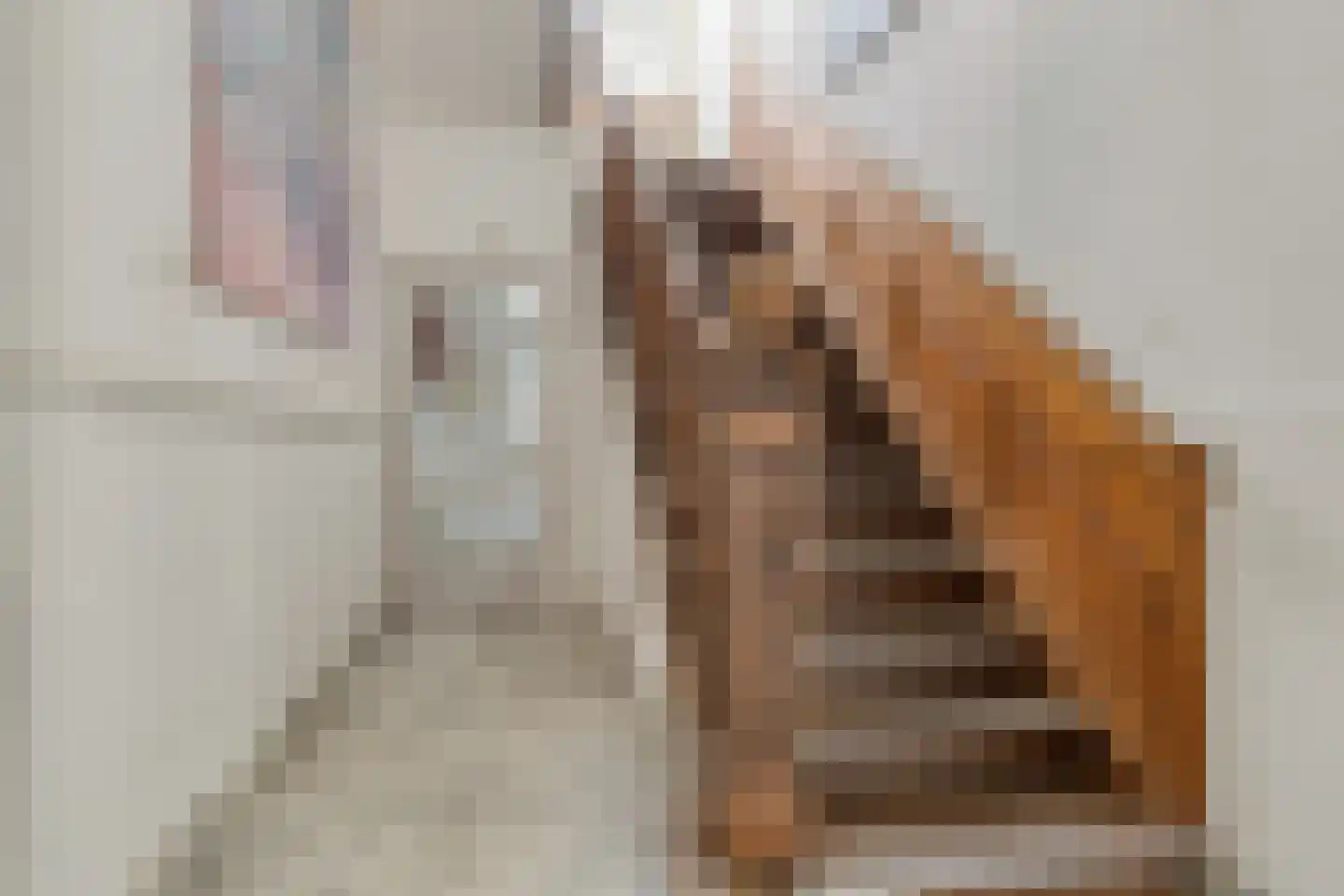 Hoofdstraat 4 De Steeg thumbnail 10