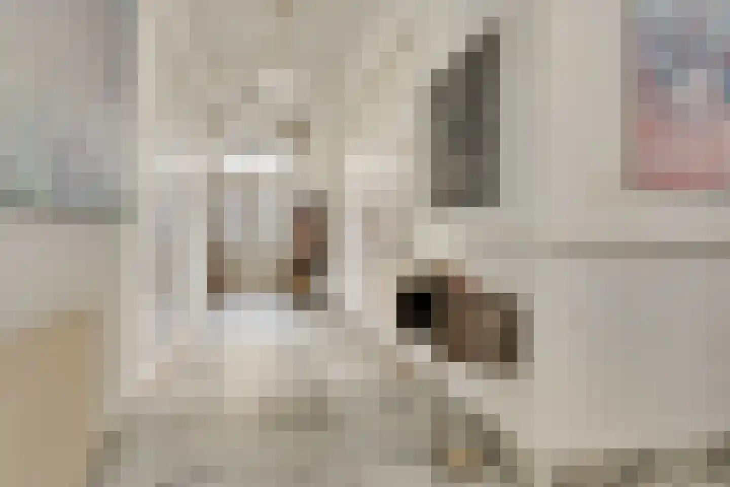Hoofdstraat 4 De Steeg thumbnail 11