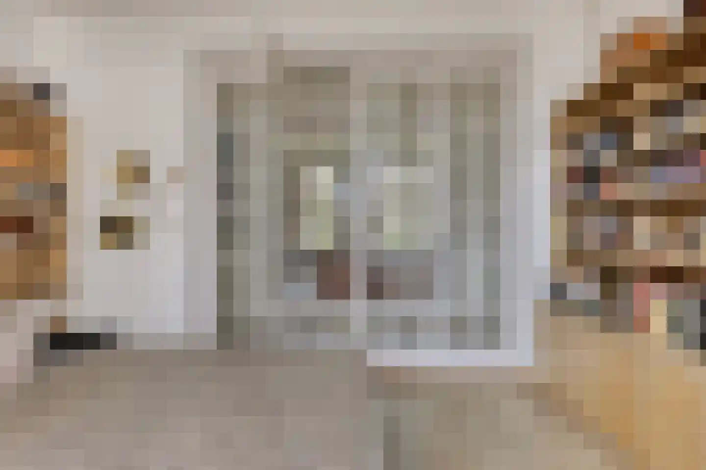 Hoofdstraat 4 De Steeg thumbnail 12