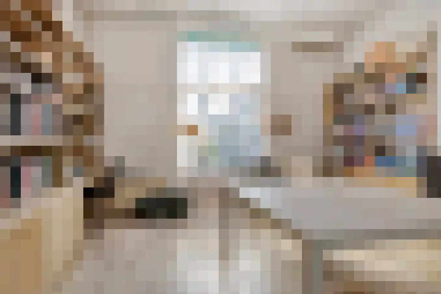 Hoofdstraat 4 De Steeg thumbnail 13
