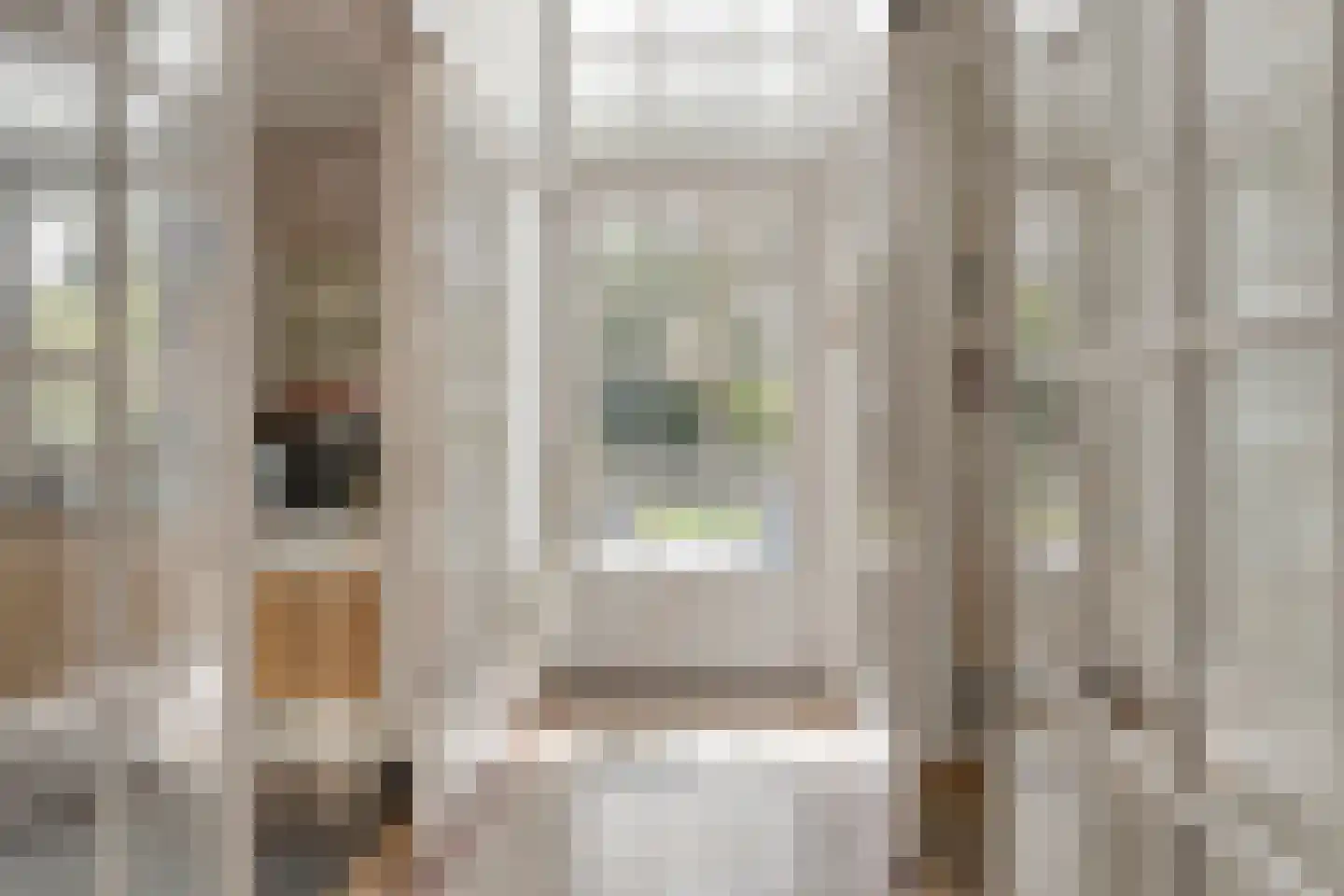 Hoofdstraat 4 De Steeg thumbnail 14