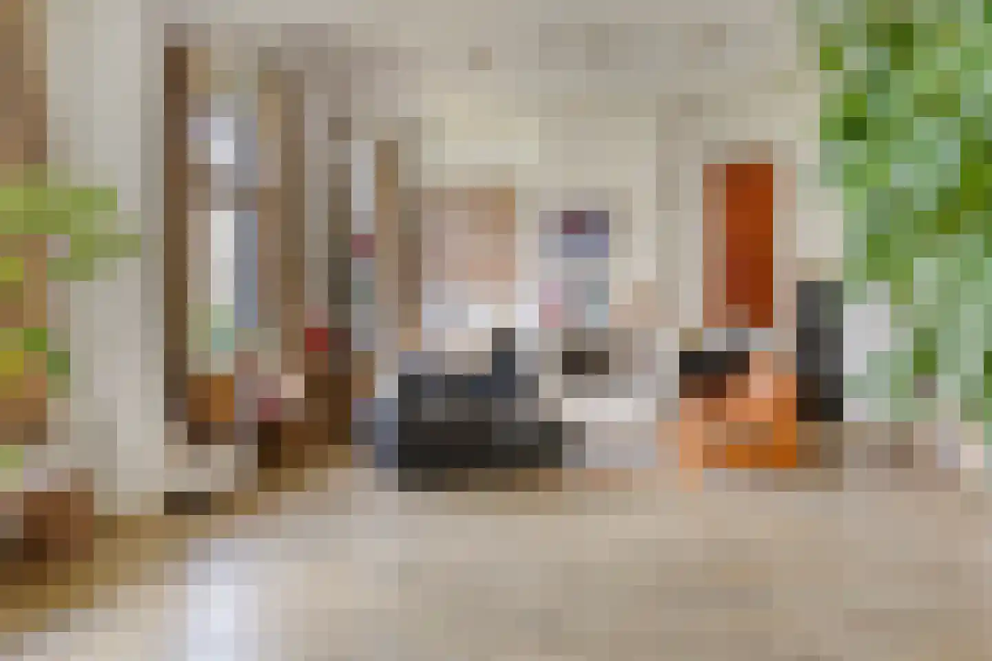 Hoofdstraat 4 De Steeg thumbnail 16
