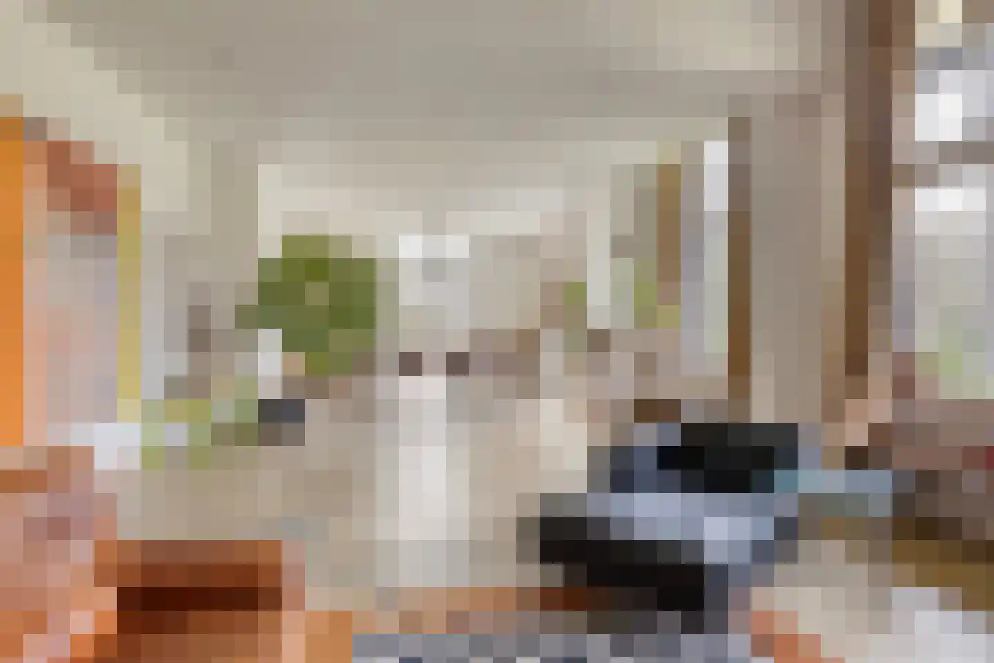 Hoofdstraat 4 De Steeg thumbnail 17