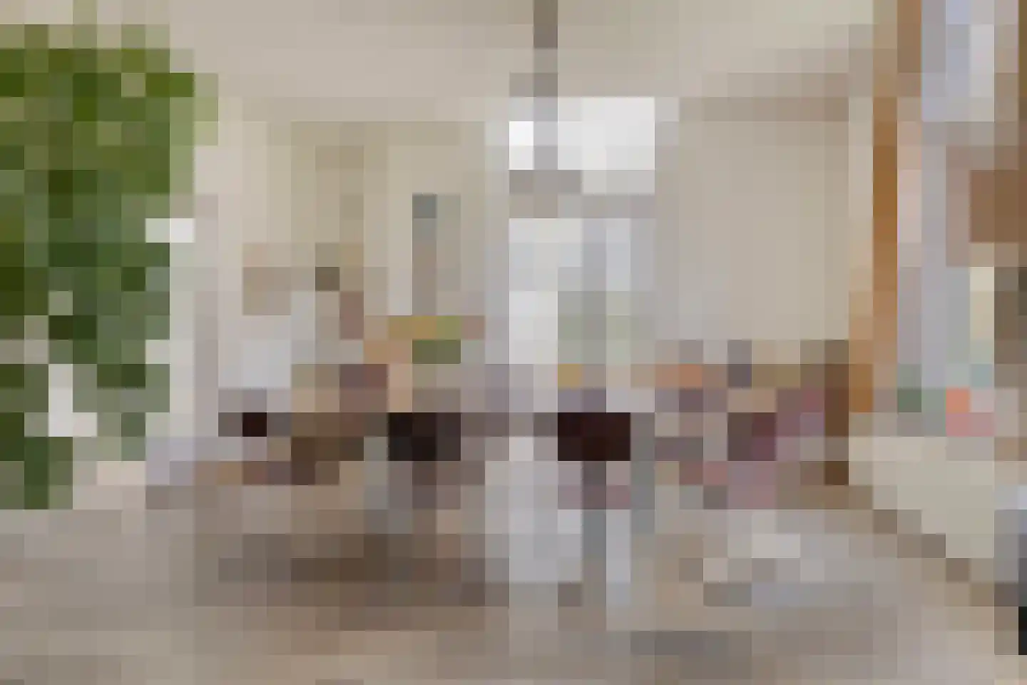 Hoofdstraat 4 De Steeg thumbnail 19