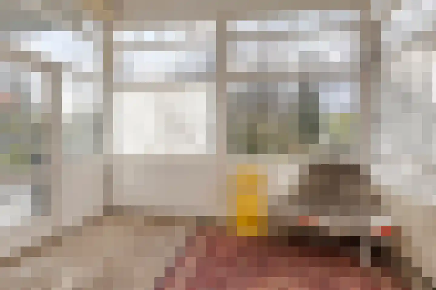 Hoofdstraat 4 De Steeg thumbnail 23