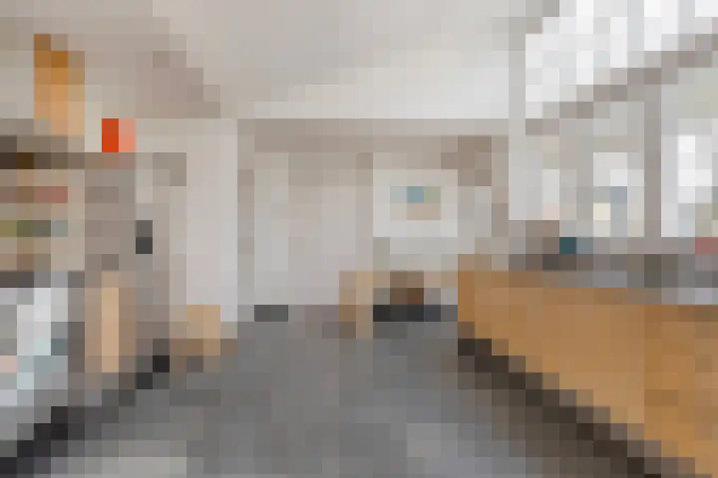Hoofdstraat 4 De Steeg thumbnail 25
