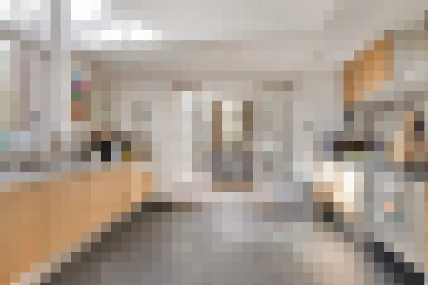 Hoofdstraat 4 De Steeg thumbnail 26